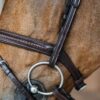 Plaited Flash Noseband Bridle - Image 1