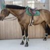 Vegan Sheepskin Young Horse Fetlock Boots Velvet - Image 8