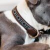 Dog Collar Handmade Pearls - Image 3