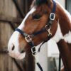 Plaited Nylon Horse Lead - Image 12