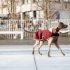 Dog Coat Heavy Fleece - Image 4