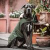 Dog Coat Waterproof 300g - Image 5