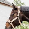 Teddy Fleece Halter - Image 2