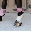 Young Horse Fetlock Boots Velvet - Image 21