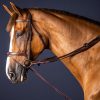 Leather/Nylon Draw Reins 5/8" - Image 3