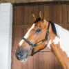 Leather Halter Wellington - Image 3