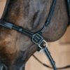 Bitless Bridle - Image 1