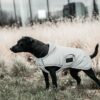Dog Coat Reflective Water Repellent Belly Cover 150g - Image 5