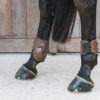 Fetlock Boots Elastic - Image 8