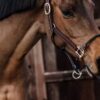 Leather Rope Halter - Image 3