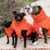 Dog Coat Winter Pina - Image 2