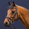 Flash Noseband Bridle - Image 1