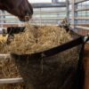 Hay Bag Corner - Image 2