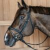 Plaited Flash Noseband Bridle - Image 7