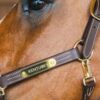 Leather Halter Wellington - Image 6