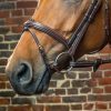 Flash Noseband Bridle - Image 1