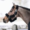 Sheepskin Shipping Halter - Image 18