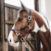 Plaited Nylon Horse Lead - Image 11