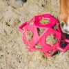 Relax Horse Play & Hay Ball - Image 11
