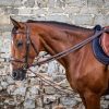 Leather/Nylon Draw Reins 5/8" - Image 1