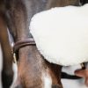 Sheepskin Grooming Glove - Image 2