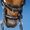 Chain Protection With Neoprene - Image 1