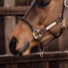 Leather Rope Halter - Image 2