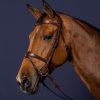 Anatomic Flash Noseband Bridle - Image 5