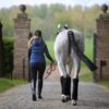 Stable Bandages Pads - Image 2