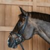Plaited Training Bridle - Image 4