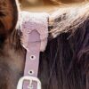 Teddy Fleece Halter - Image 8