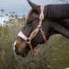 Velvet Halter Unicorn Glitter - Image 2