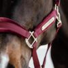 Velvet Halter - Image 12