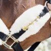 Nylon Sheepskin Halter Soft - Image 4