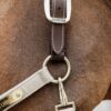 Nylon Anatomic Halter - Image 6